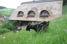 Maison de la Forêt-Noire